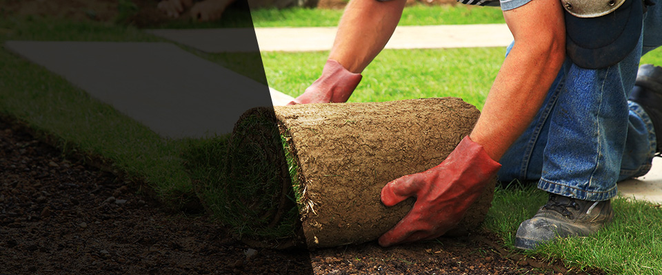 Grayling Landscapers